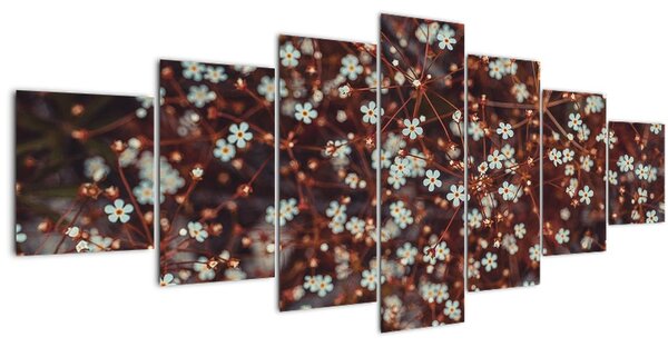 Obraz květiny Pomněnka lesní (210x100 cm)
