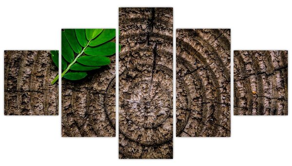 Obraz listu na kmeni stromu (125x70 cm)