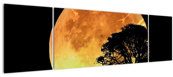 Obraz stínů v měsíčním světle (170x50 cm)