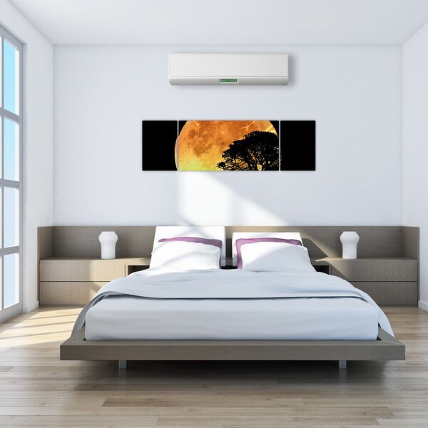 Obraz stínů v měsíčním světle (170x50 cm)
