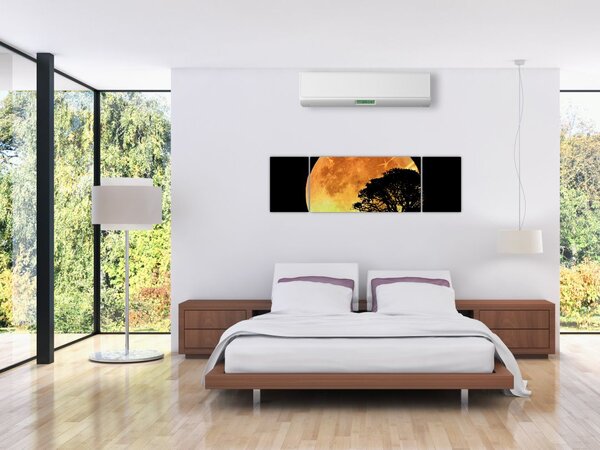 Obraz stínů v měsíčním světle (170x50 cm)