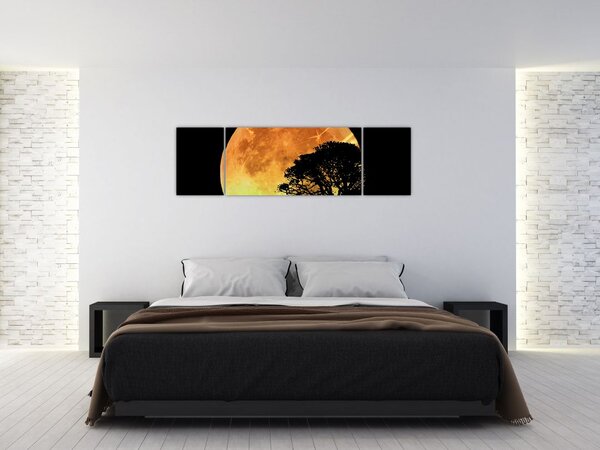 Obraz stínů v měsíčním světle (170x50 cm)