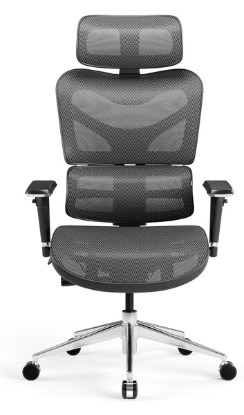 Kancelářská ergonomická židle Diablo V-Commander: černo-šedá