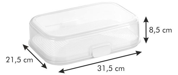 Dóza FreshZONE 30 x 20 cm