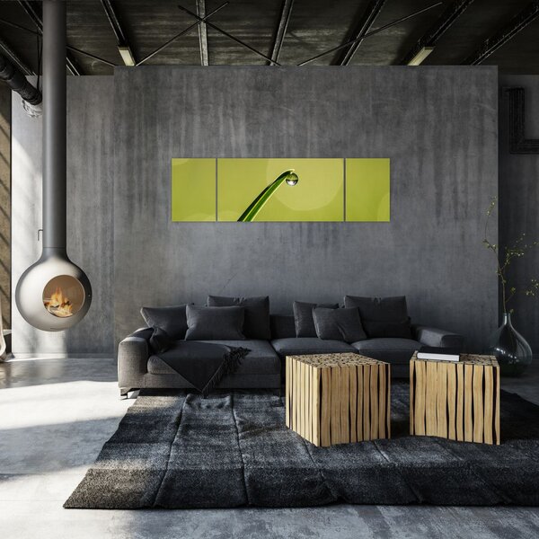 Obraz kapky vody na trávě (170x50 cm)