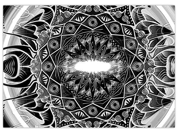 Obraz černobílých ornamentů (70x50 cm)