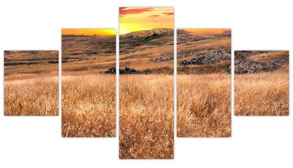 Obraz pole (125x70 cm)