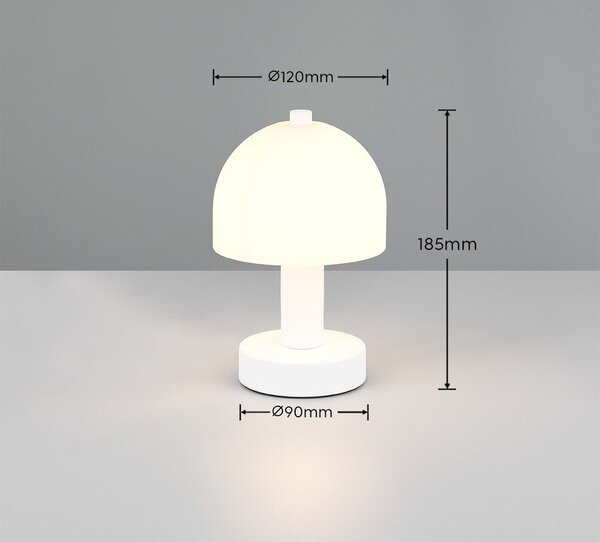 Bílá stolní lampa se skleněným stínidlem (výška 19 cm) Glenn – Reality