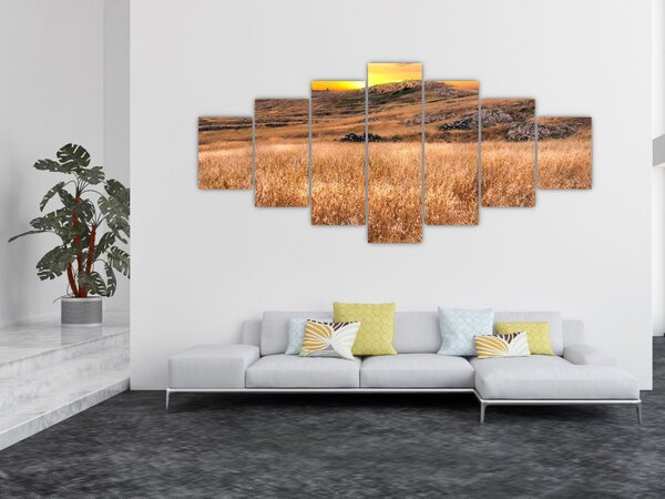 Obraz pole (210x100 cm)