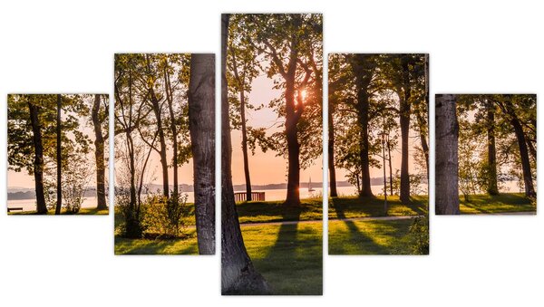 Obraz stromů u jezera (125x70 cm)