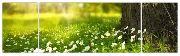 Obraz paseky a květin (170x50 cm)