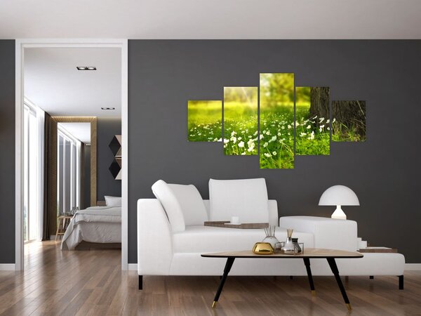 Obraz paseky a květin (125x70 cm)