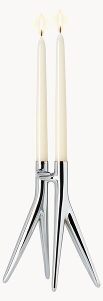 Svícen Abbeacciaio