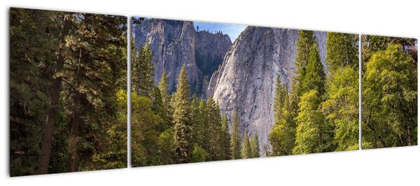 Obraz skal (170x50 cm)