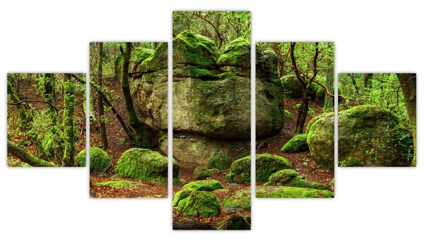 Obraz kouzelného lesa (125x70 cm)