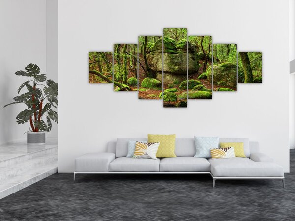 Obraz kouzelného lesa (210x100 cm)