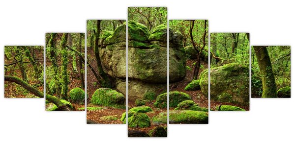 Obraz kouzelného lesa (210x100 cm)