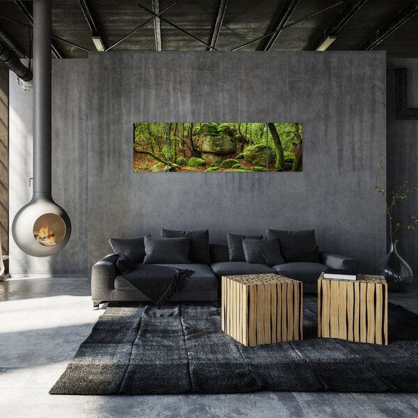 Obraz kouzelného lesa (170x50 cm)
