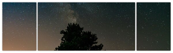 Obraz noční oblohy se stromy (170x50 cm)