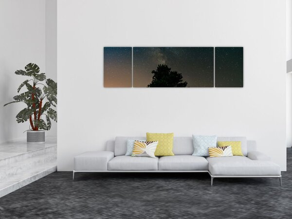 Obraz noční oblohy se stromy (170x50 cm)