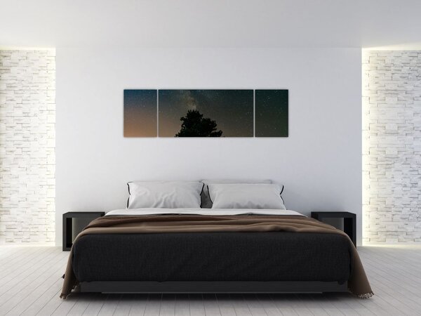 Obraz noční oblohy se stromy (170x50 cm)