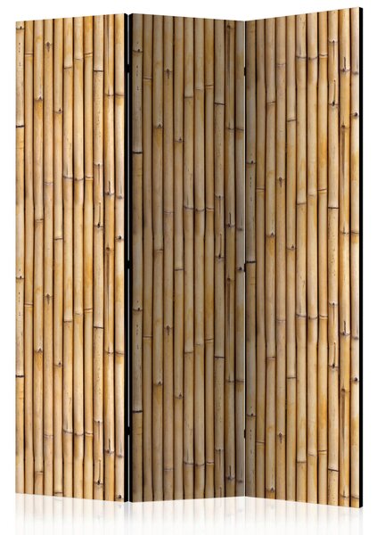 PARAVÁN, 135/172/3 cm artgeist, Online Only