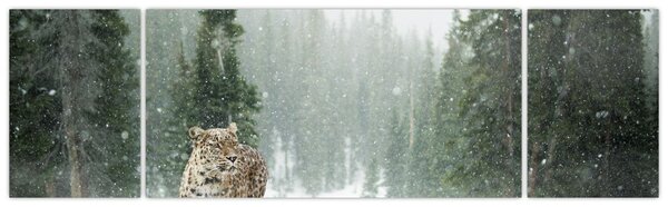 Obraz leoparda ve sněhu (170x50 cm)