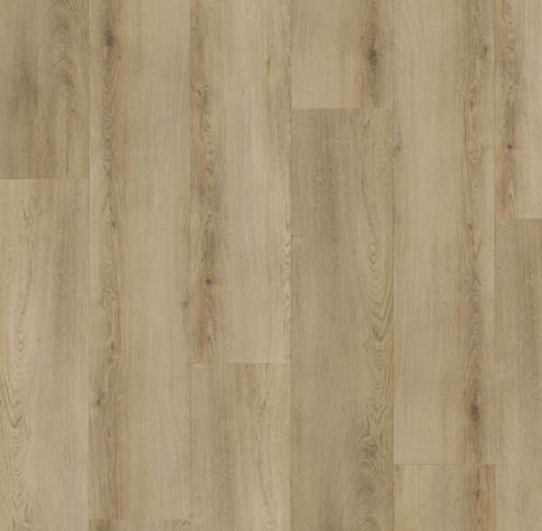 Afirmax LEGNAR Acoustic Dub Aspen CLEA 43092 2,235 m2