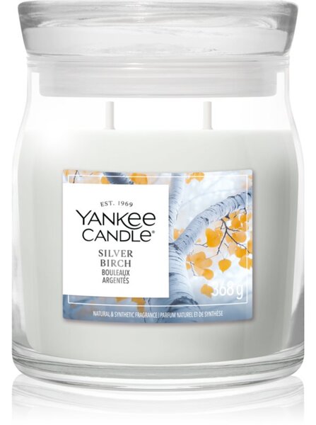 Yankee Candle Silver Birch vonná svíčka 368 g