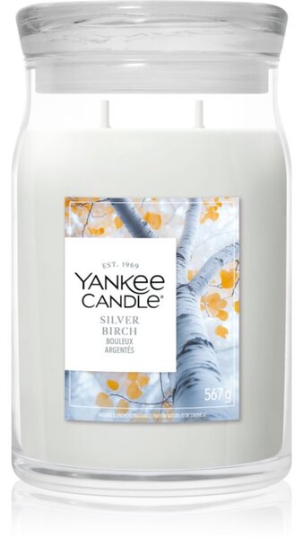 Yankee Candle Silver Birch vonná svíčka 567 g