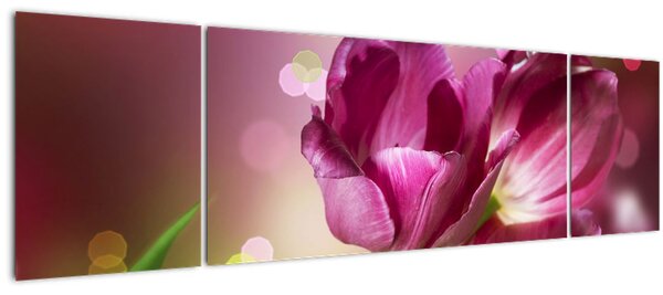 Obraz růžových tulipánů (170x50 cm)