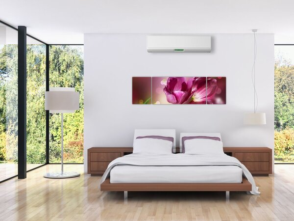 Obraz růžových tulipánů (170x50 cm)