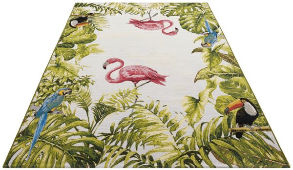 Koberec Hanse Home Flair Tropical Birds vícebarevný