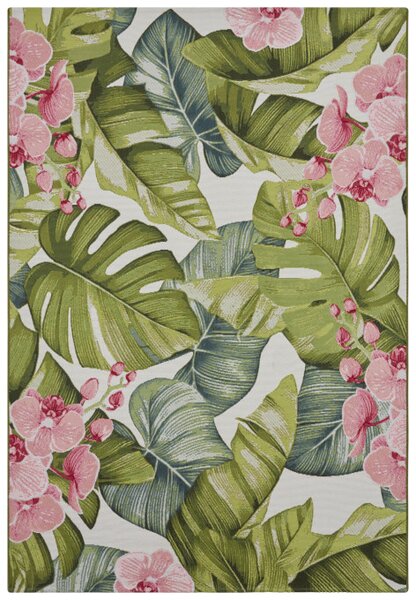 Koberec Hanse Home Flair Tropical vícebarevný