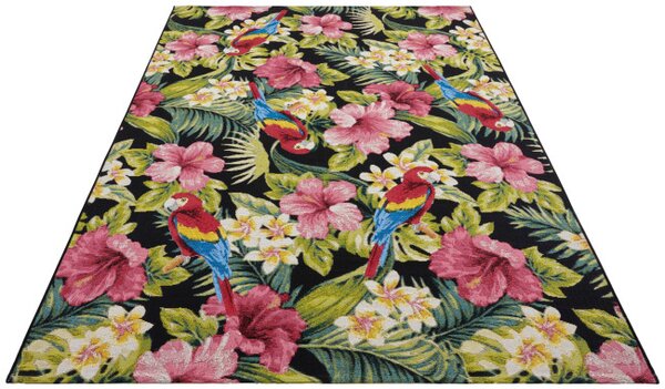 Koberec Hanse Home Flair Tropical Feeling vícebarevný