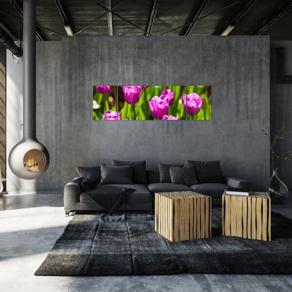 Obraz tulipánů na louce (170x50 cm)