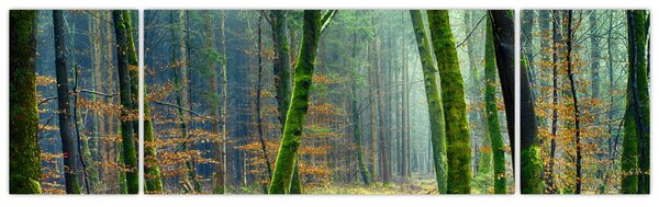 Obraz lesa (170x50 cm)