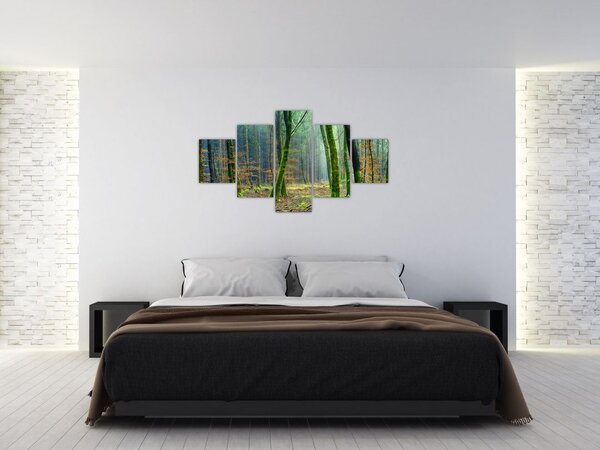 Obraz lesa (125x70 cm)