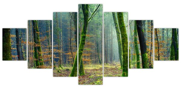 Obraz lesa (210x100 cm)