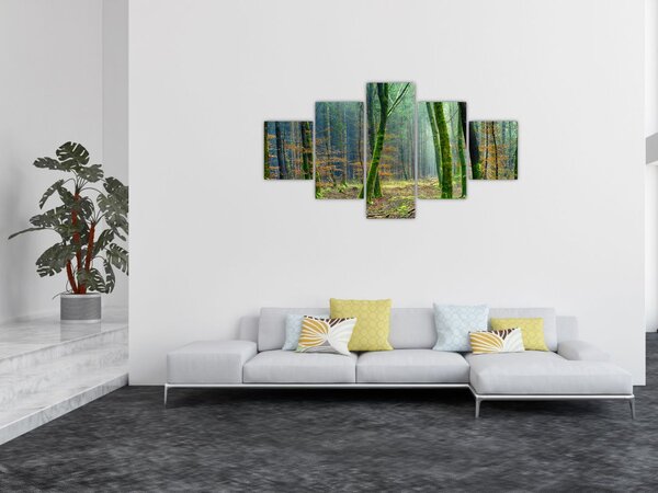 Obraz lesa (125x70 cm)