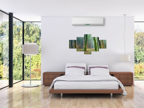 Obraz lesa (125x70 cm)
