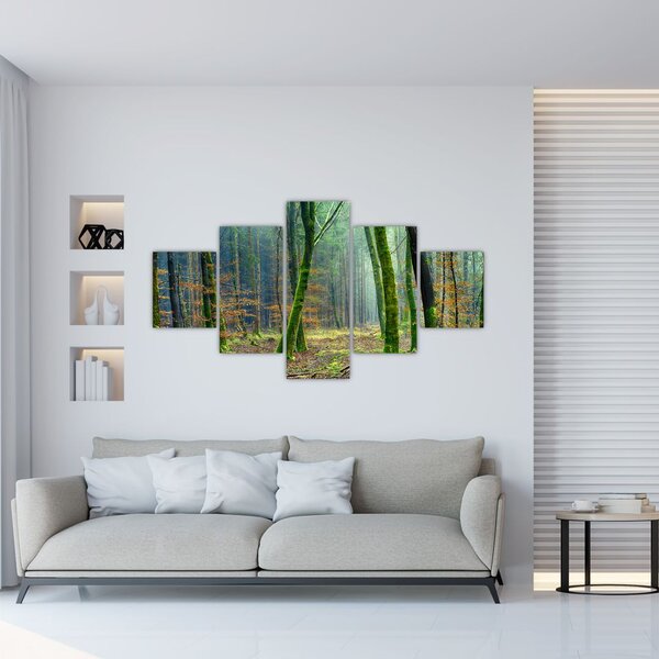 Obraz lesa (125x70 cm)