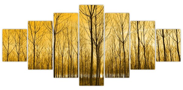 Obraz lesa při západu slunce (210x100 cm)