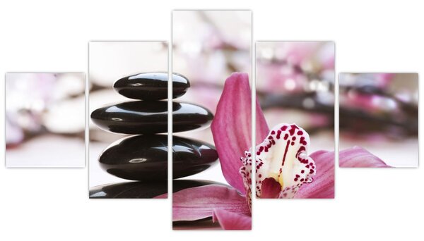 Obraz masážních kamenů a orchidee (125x70 cm)