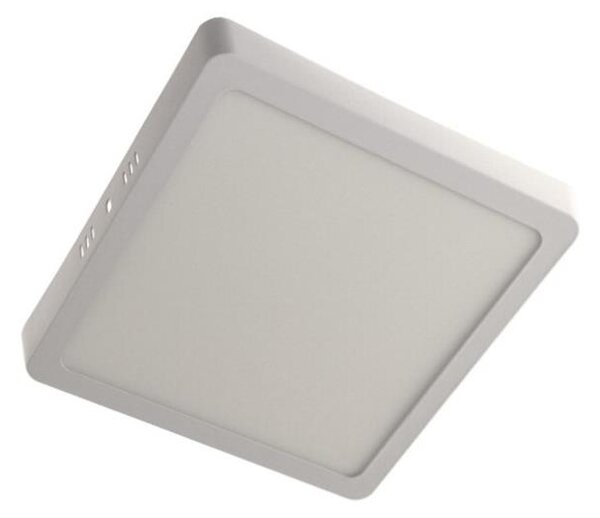 LED Stropní svítidlo GERRY LED/18W/230V 4000K bílá