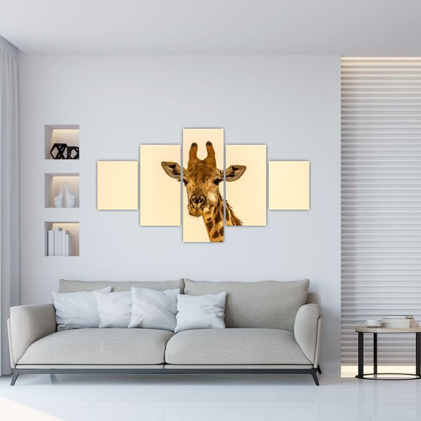 Obraz žirafy (125x70 cm)