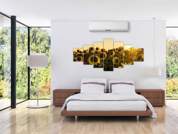 Obraz slunečnicového pole (210x100 cm)