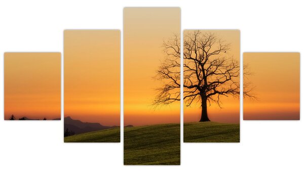 Obraz západu slunce na louce (125x70 cm)