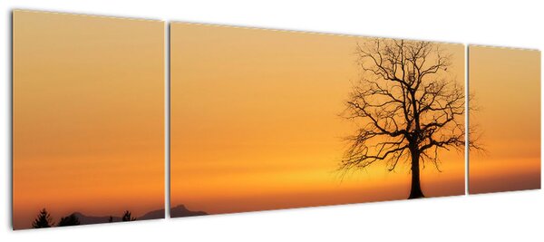 Obraz západu slunce na louce (170x50 cm)