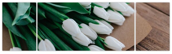 Obraz kytice bílých tulipánů (170x50 cm)